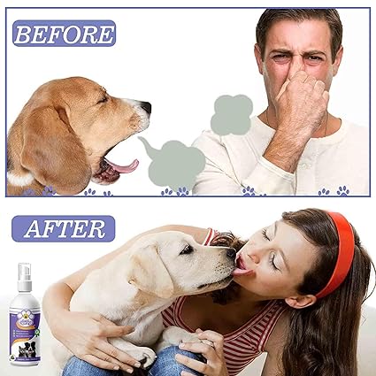 Oral Spray For Dogs & Cats